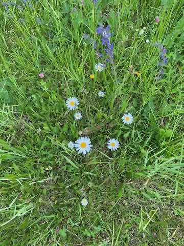 Zivahna Hisa Sveti Jurij ob Scavnici